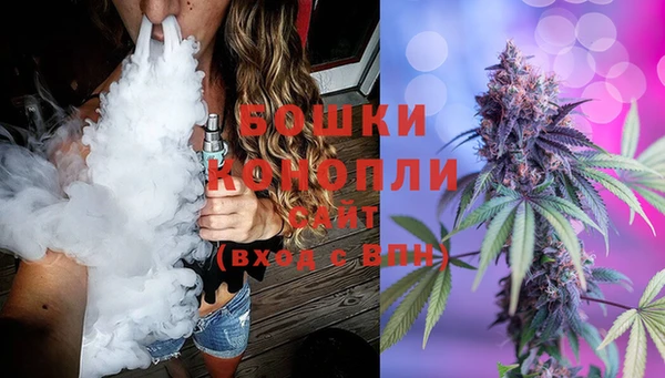 прущая мука Арсеньев