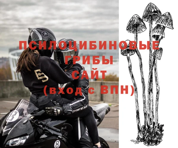 прущая мука Арсеньев