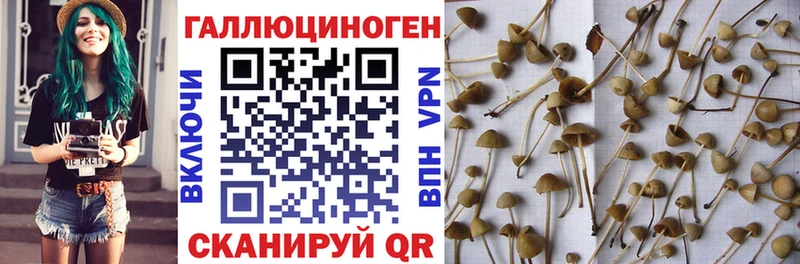 мориарти Telegram  продажа наркотиков  omg как войти  Таштагол  Галлюциногенные грибы мухоморы 