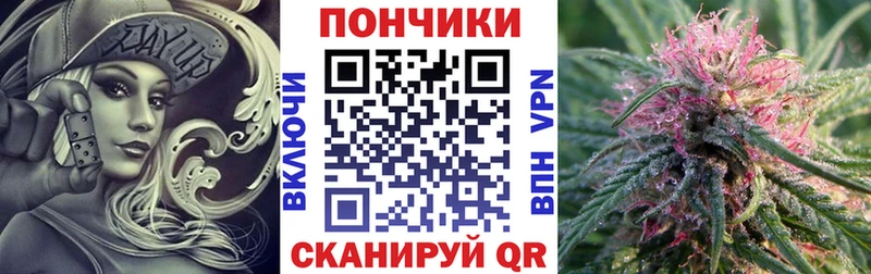 MEGA   Таштагол  Каннабис план 